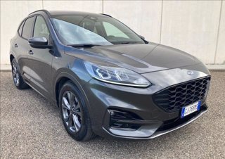 FORD Kuga 1.5 ecoblue ST-Line 2wd 120cv
