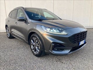 FORD Kuga 1.5 ecoblue ST-Line 2wd 120cv