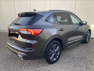 FORD Kuga 1.5 ecoblue ST-Line 2wd 120cv