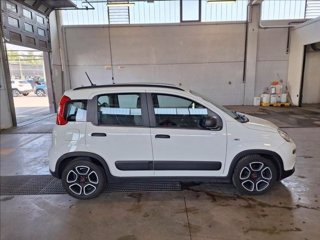 FIAT Panda 1.0 firefly hybrid s&s 70cv